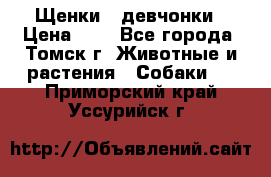 Щенки - девчонки › Цена ­ 2 - Все города, Томск г. Животные и растения » Собаки   . Приморский край,Уссурийск г.